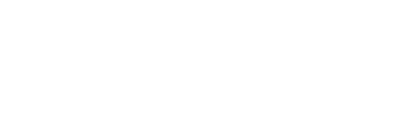 TFY Logo